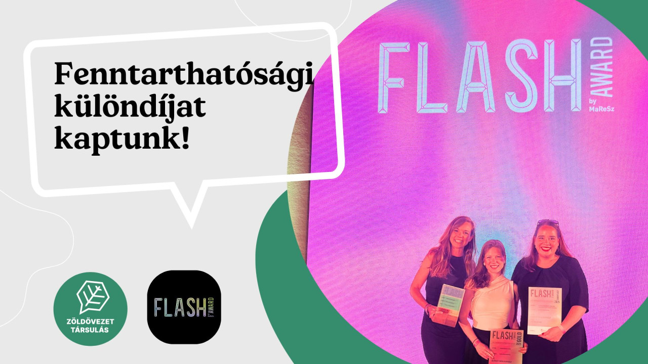 flash award